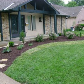 Front yard landscaping