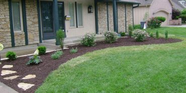 Front yard landscaping