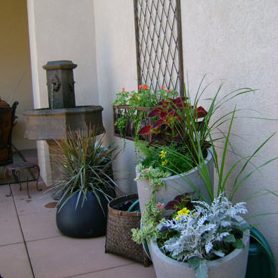 Patio area