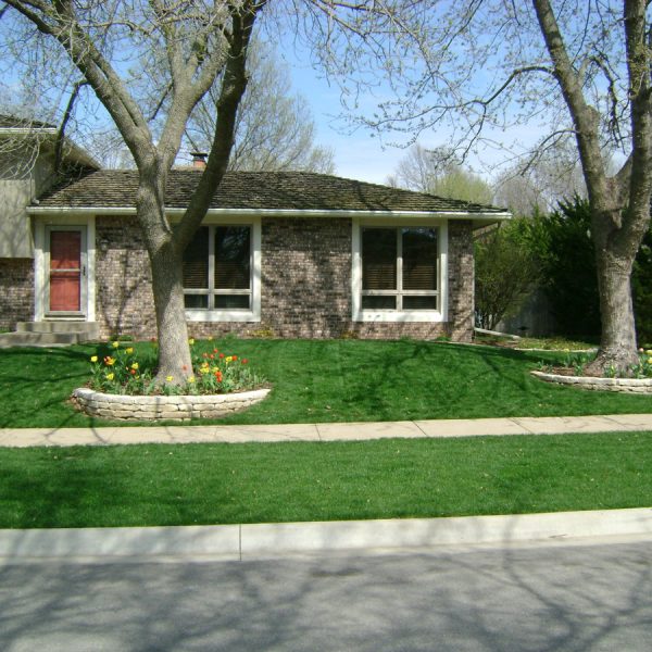 Front yard landscaping