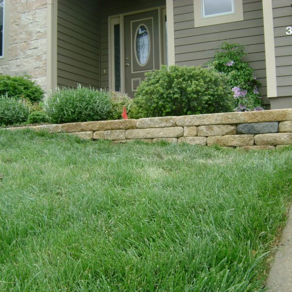 Front yard landscaping