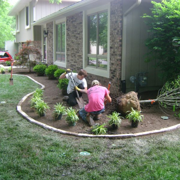 Front yard landscaping