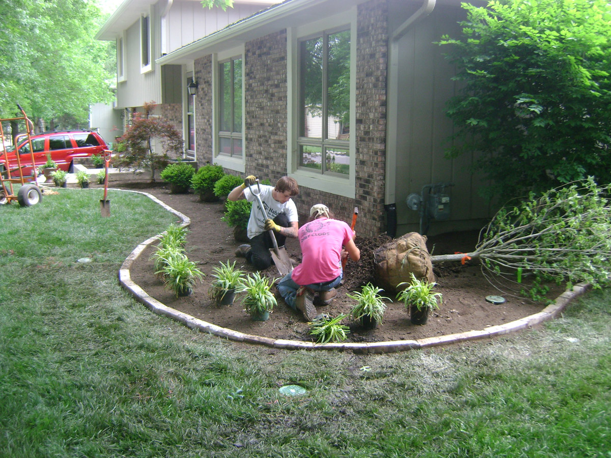 Front yard landscaping