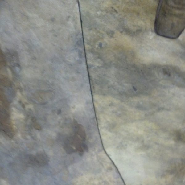 Natural stone paver walkway